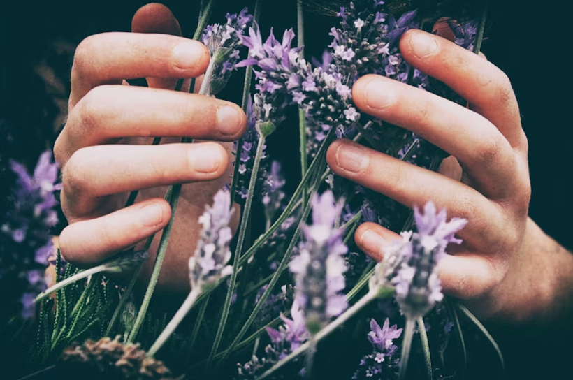 Essential oils for better sleep